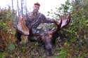 bowhunting_moose