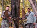 Moose hunting in Maine 2005