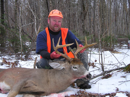 maine-whitetail