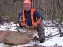 deer-whitetail