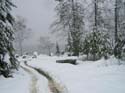 rosslake-snow