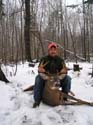 white-tail