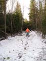 woods